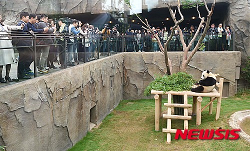 비정상회담) 에버랜드에서 오늘 판다월드 개장했다는데 왜 슈슈 생각이 나냐ㅋㅋㅋ | 인스티즈