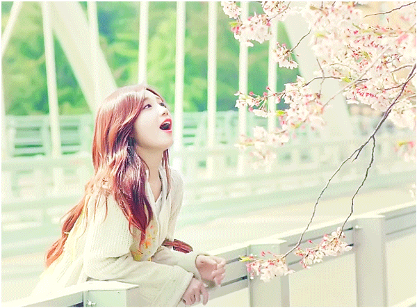 우리 엄마 사위상 & 우리 엄마 며느리상 아이돌들 (*본진주의*) | 인스티즈