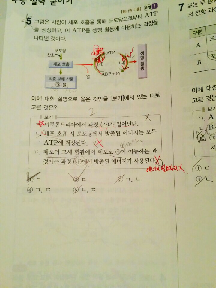 생명과학 이거 설명좀 해줄 익인... | 인스티즈