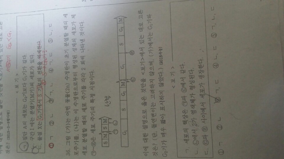 생명 문제 하나만 알려줘 ㅜㅜㅜ 제발 내일시험이야ㅠㅠㅜ | 인스티즈