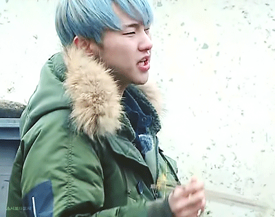 [세븐틴/권순영] 주인 권순영 x 북극곰 반인반수 너봉 A | 인스티즈