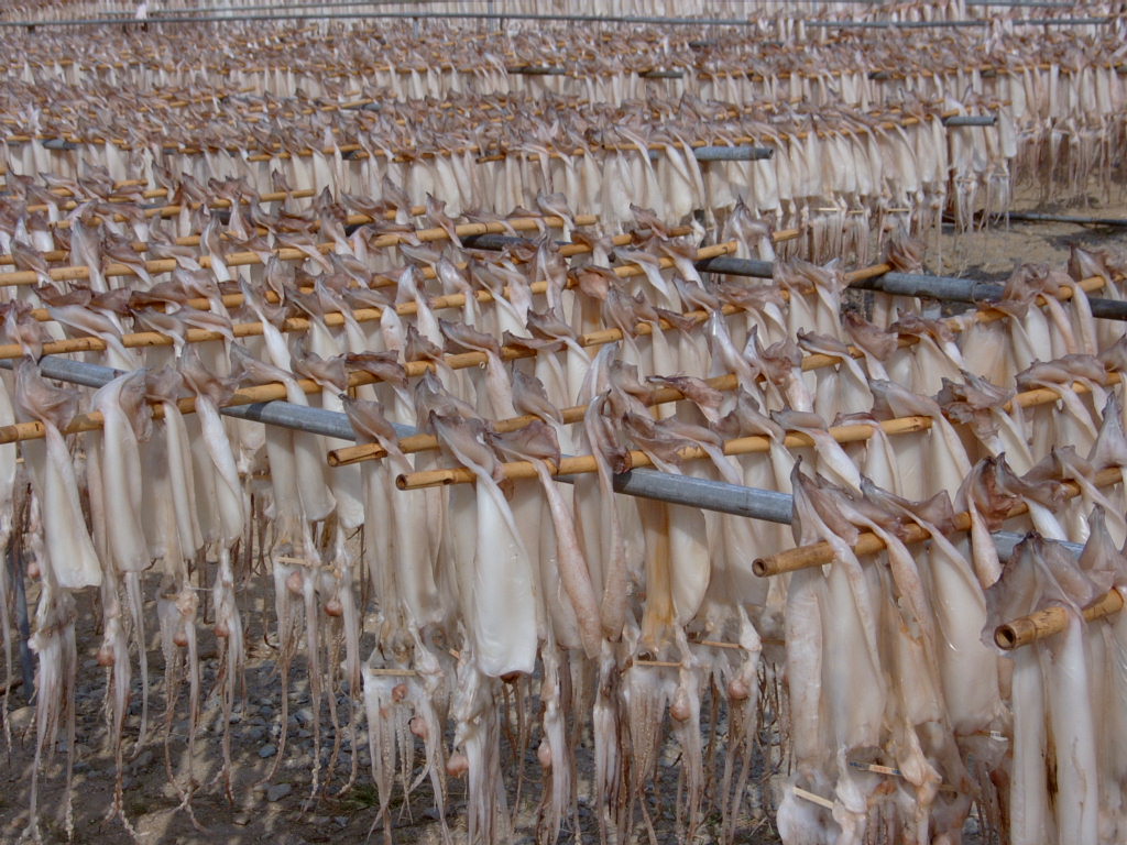 인스티즈 정모 때 찍은 단체 사진 풀어요 !!!! .jpg | 인스티즈