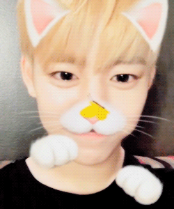 팬들에게 칭찬 받고 싶었던 남자 아이돌 (멤버들 인권없음) | 인스티즈