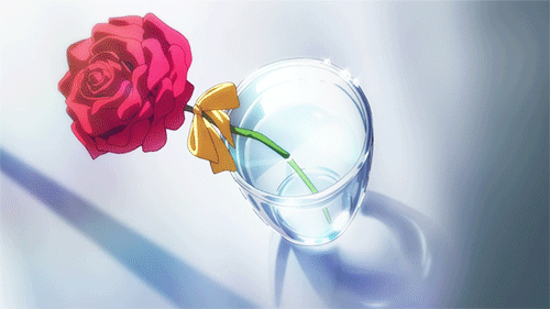 비정상회담) 오늘은 로즈데이! | 인스티즈