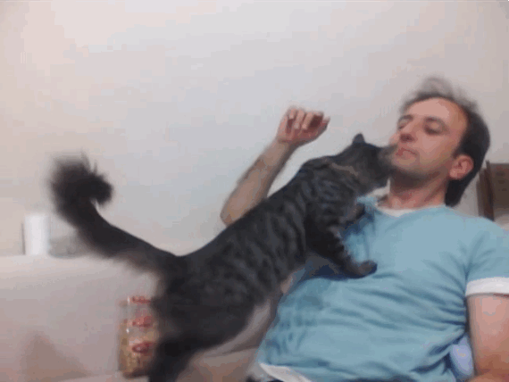 내 이름은 고양이고 이제부터 니 심장을 폭행할꺼야 | 인스티즈