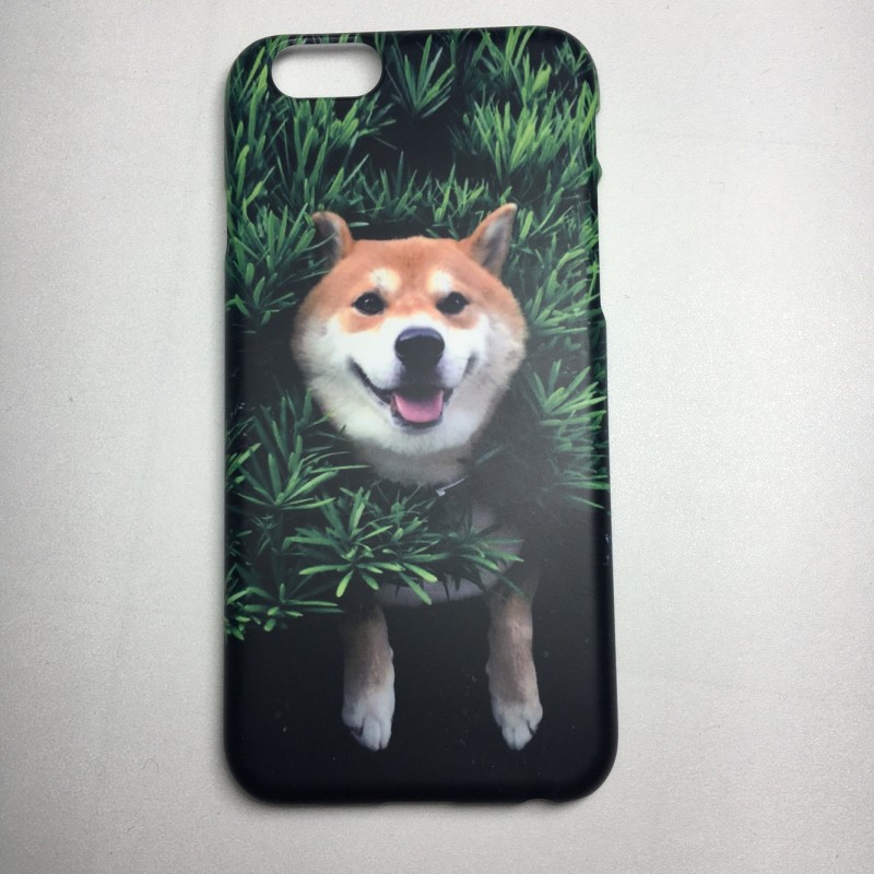 *지브리케이스* *시바케이스* | 인스티즈