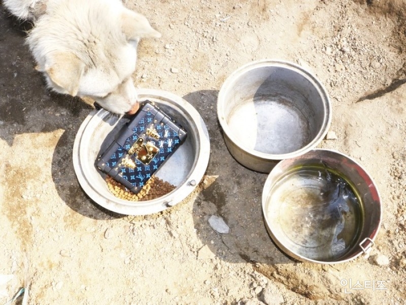 W의 획기적인 명품화보.jpg(feat. Grandmother And Sigol Ddong GangAji) | 인스티즈