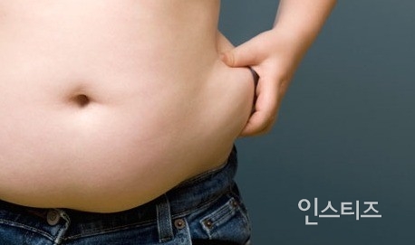 요정이 나타나서 "몸 구석구석에 있는 살을 너가 원하는 만큼 빠지게 해줄테니 대신에.."라고 한다면? (듣도보도 못함 주의) | 인스티즈