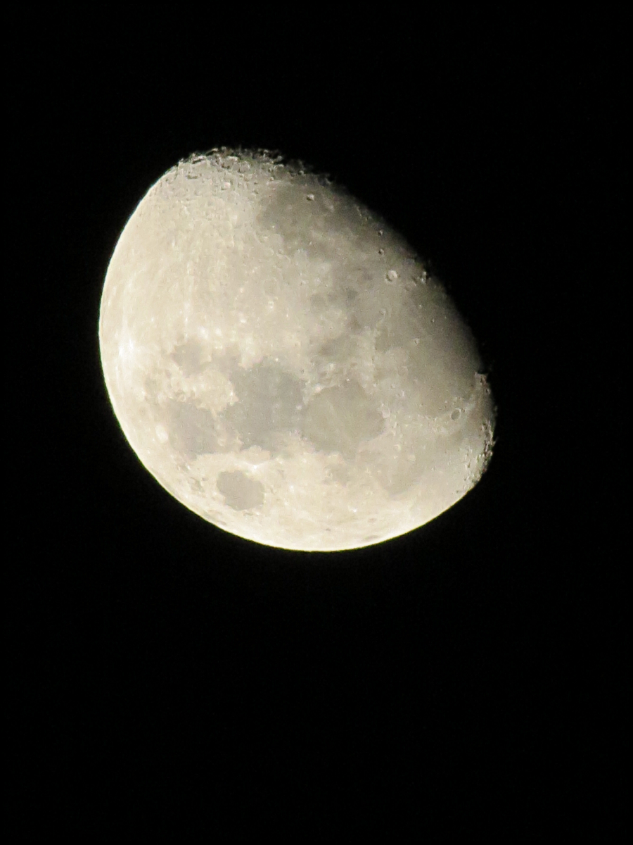 [세븐틴/호우] 내가 보고싶어서 쓰는 호우 4 | 인스티즈