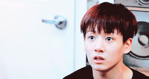 [방탄소년단/전정국] 랫서팬더 반인반수 너탄 × 주인 정국 4 | 인스티즈