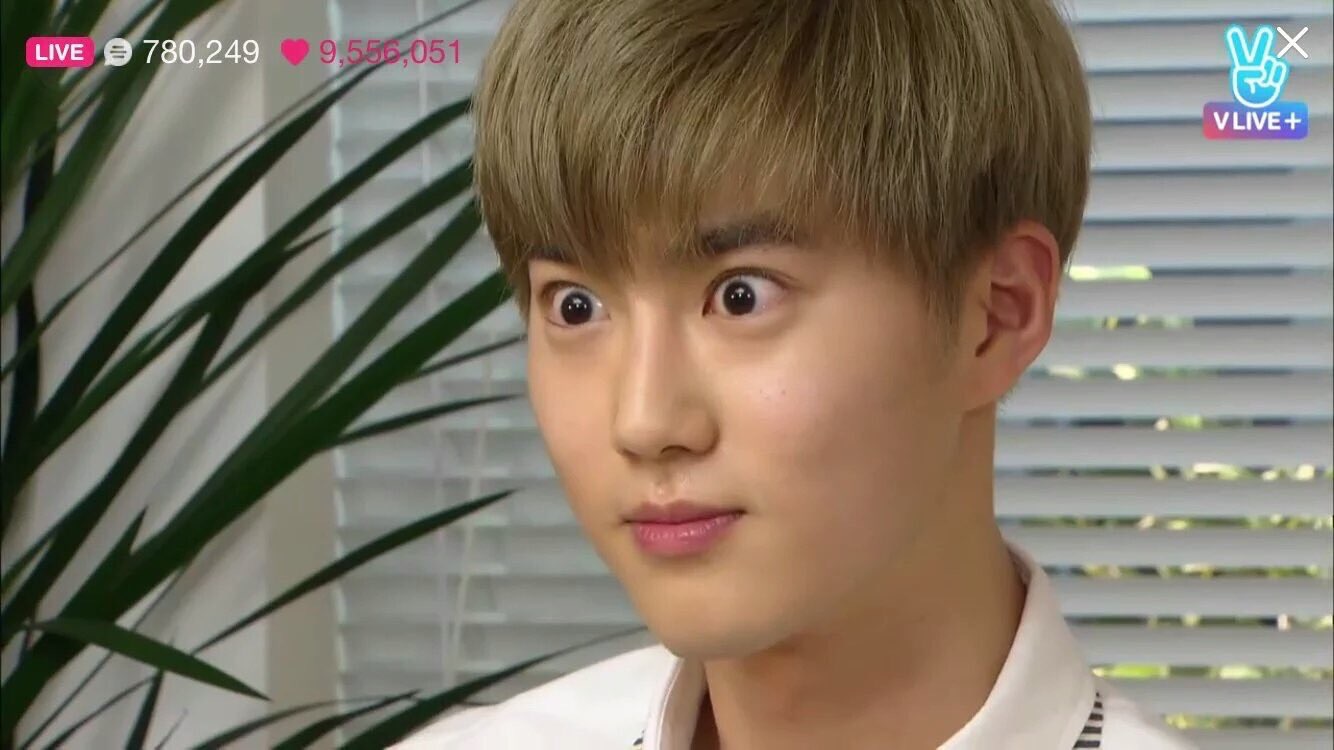 엑소멤버들의 극과 극인 디오에 대한 첫인상.jpg | 인스티즈