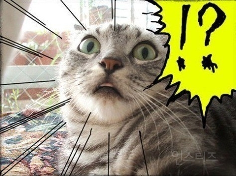 마침내 정형돈의 패션센스를 인정한듯한 최근 지드래곤.jpg (보고있나?) | 인스티즈