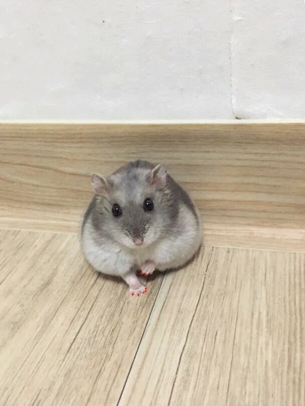 직장동료가 집에와서 해놓은 짓.jpg | 인스티즈