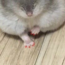 직장동료가 집에와서 해놓은 짓.jpg | 인스티즈