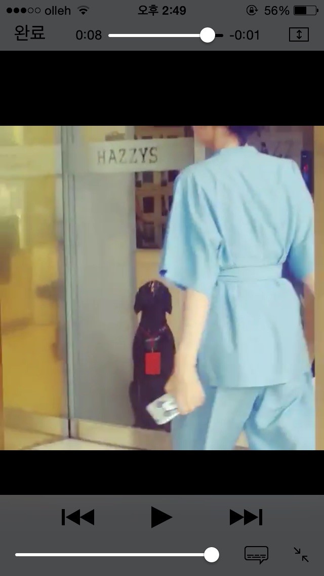 데뷔 후 처음으로 아이돌급 덕후몰이 중인 연예인.jpg | 인스티즈