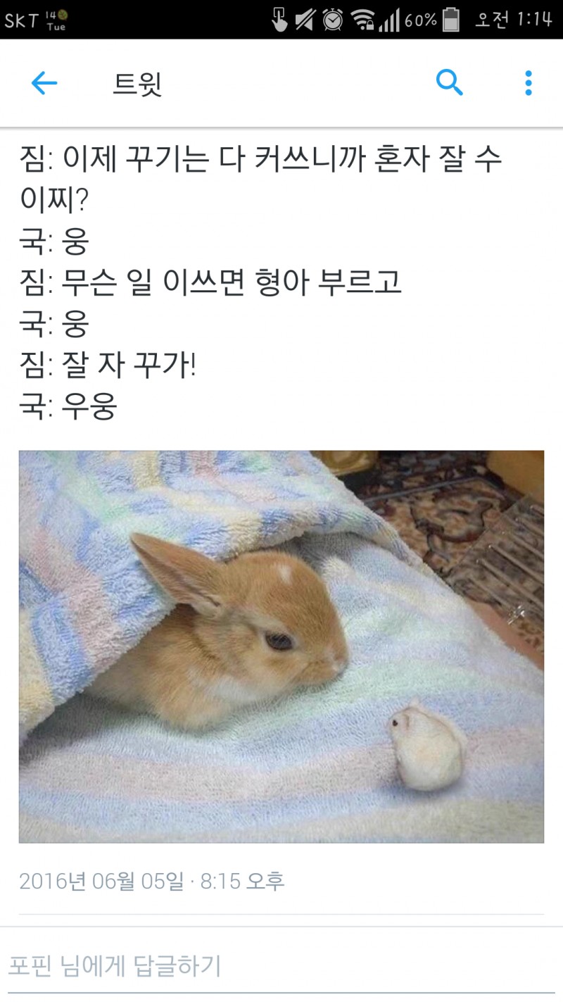 닮은꼴이 너무 많은 아이돌 그룹_ (ft. 방토토).jpg | 인스티즈