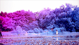 보컬전쟁이라고 불리는 어느 아이돌 이번 일본 신곡 | 인스티즈