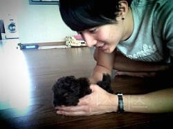 토이푸들 샀다가 개사기당한 김형준.jpg | 인스티즈