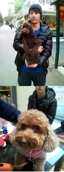 토이푸들 샀다가 개사기당한 김형준.jpg | 인스티즈