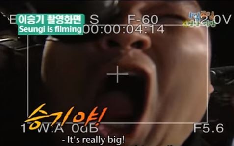 1박 2일 시즌 1 복습 중 - 근데 이 카메라 얼마짜리예요? | 인스티즈