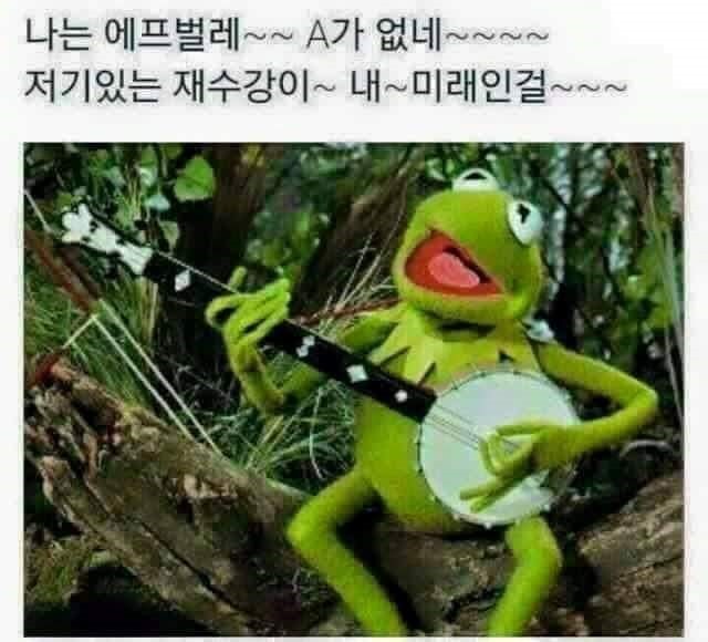 시험치는 대학생을 위한 짤들.jpg | 인스티즈