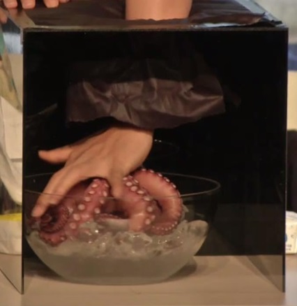 게임하다가 난리난 유승호 고창석 라미란 시우민ㅋㅋㅋㅋㅋ.jpg | 인스티즈