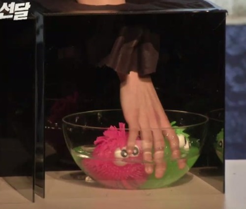 게임하다가 난리난 유승호 고창석 라미란 시우민ㅋㅋㅋㅋㅋ.jpg | 인스티즈