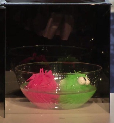 게임하다가 난리난 유승호 고창석 라미란 시우민ㅋㅋㅋㅋㅋ.jpg | 인스티즈