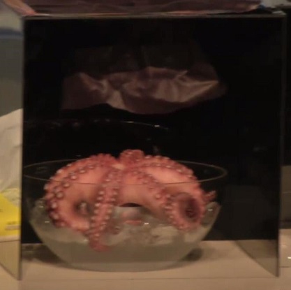 게임하다가 난리난 유승호 고창석 라미란 시우민ㅋㅋㅋㅋㅋ.jpg | 인스티즈