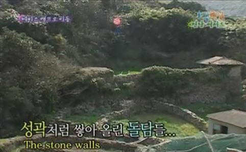 1박 2일 시즌 1 복습 중 - 아저씨 거기서 뭐하세요? | 인스티즈