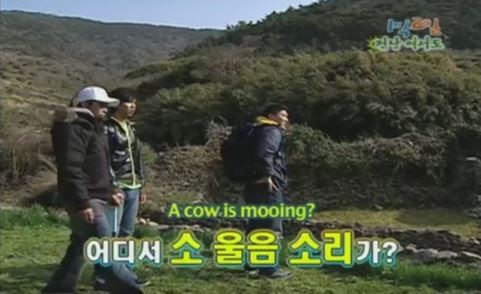 1박 2일 시즌 1 복습 중 - 소에 이은 거위와의 대화 (feat. 거위의 꿈) | 인스티즈