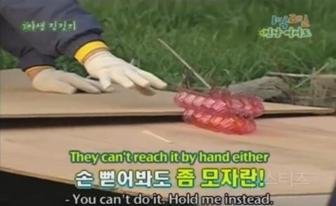 1박 2일 시즌 1 복습 중 - 계란을 얻기 위한 필사적인 노력 | 인스티즈