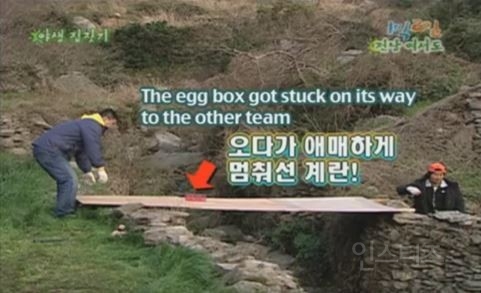 1박 2일 시즌 1 복습 중 - 계란을 얻기 위한 필사적인 노력 | 인스티즈