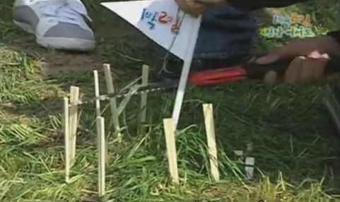 1박 2일 시즌 1 복습 중 - 누가 더 니가 내가 더 유치할까 (feat. 은지원 승) | 인스티즈