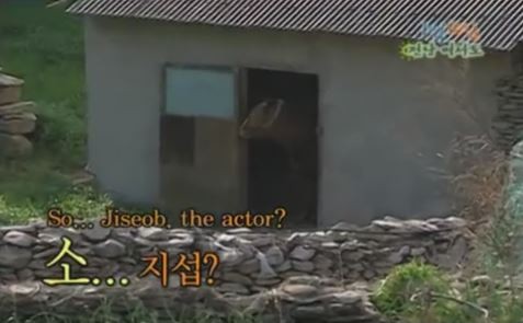 1박 2일 시즌 1 복습 중 - 소에 이은 거위와의 대화 (feat. 거위의 꿈) | 인스티즈