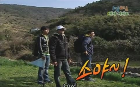 1박 2일 시즌 1 복습 중 - 소에 이은 거위와의 대화 (feat. 거위의 꿈) | 인스티즈