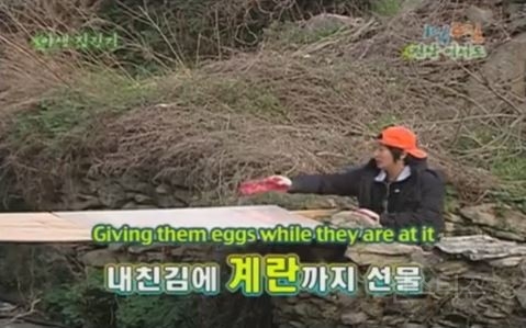 1박 2일 시즌 1 복습 중 - 계란을 얻기 위한 필사적인 노력 | 인스티즈