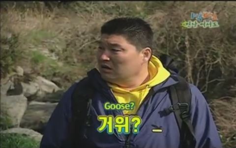 1박 2일 시즌 1 복습 중 - 소에 이은 거위와의 대화 (feat. 거위의 꿈) | 인스티즈