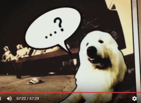 1박 2일 시즌 1 복습 중 - 08, 09년 오프닝 & 엔딩에 나오던 고정화면 | 인스티즈