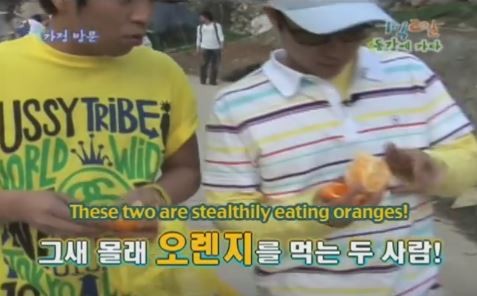 1박 2일 시즌 1 복습 중 - 속이고 속이는 세상 | 인스티즈