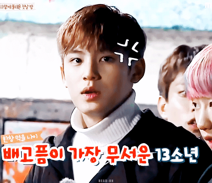 [세븐틴/남장물] 저는 남고생이고요, 제가 하고 있는 건 개고생입니다 01 | 인스티즈