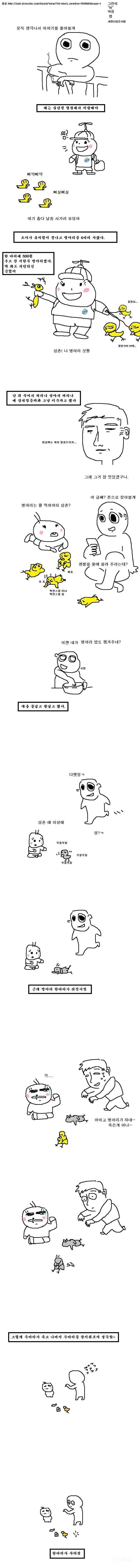 조카가 병아리를 사왔다 | 인스티즈