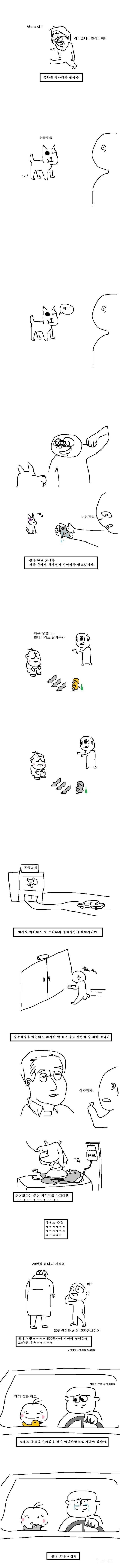 조카가 병아리를 사왔다 | 인스티즈