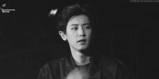 [찬공] 반인반수 | 인스티즈