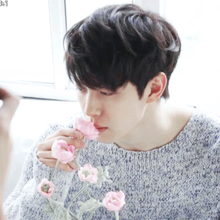 아이돌로 보는 헤어스타일링의 중요성.jpg (본진주의) | 인스티즈