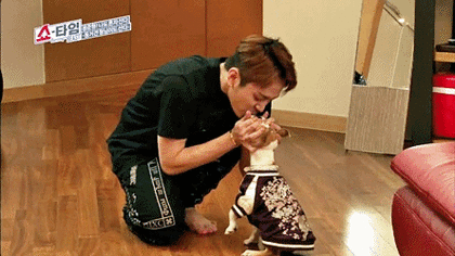 아이돌 현웃짤들 모음 (유물주의) | 인스티즈