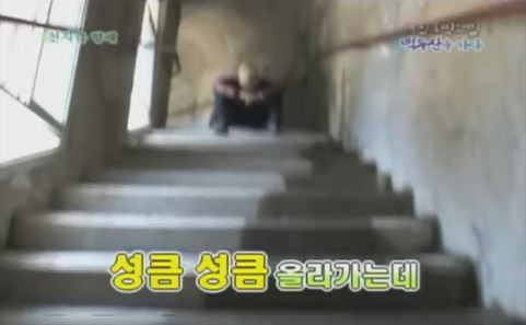 1박 2일 시즌 1 복습 중 - 백두산으로 향하는 길 : 터널에서 | 인스티즈