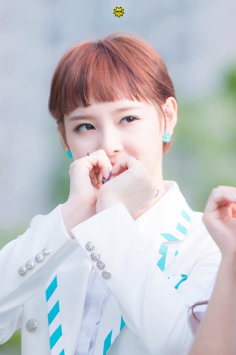 동글동글한 머리때문에 무대볼때 시강하는 여돌 | 인스티즈