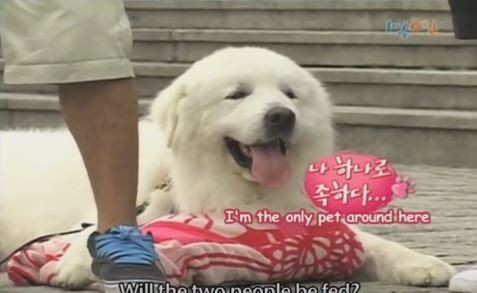 1박 2일 시즌 1 복습 중 - 낙오되지 않으려는 노력들 | 인스티즈