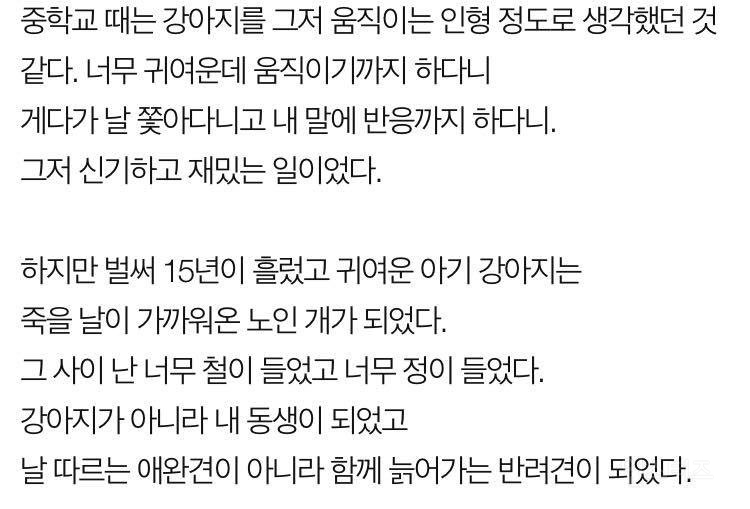 나는 개 키우는걸 후회한다 (판) | 인스티즈